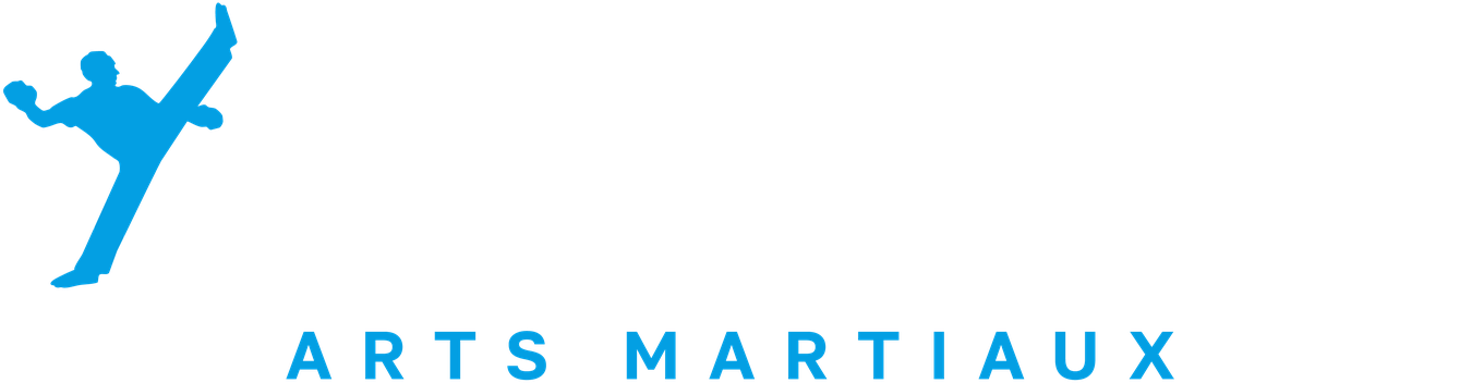 Vinciarelli Arts Martiaux